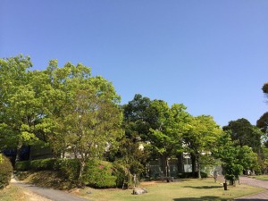 キャンパス風景